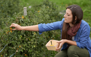 a young woman at Chicago Rehab Center participating in Horticultural Therapy for her mental health and substance abuse recovery
